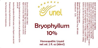 Bryophyllum 10 Liquid (Bryophyllum 10 Liquid)